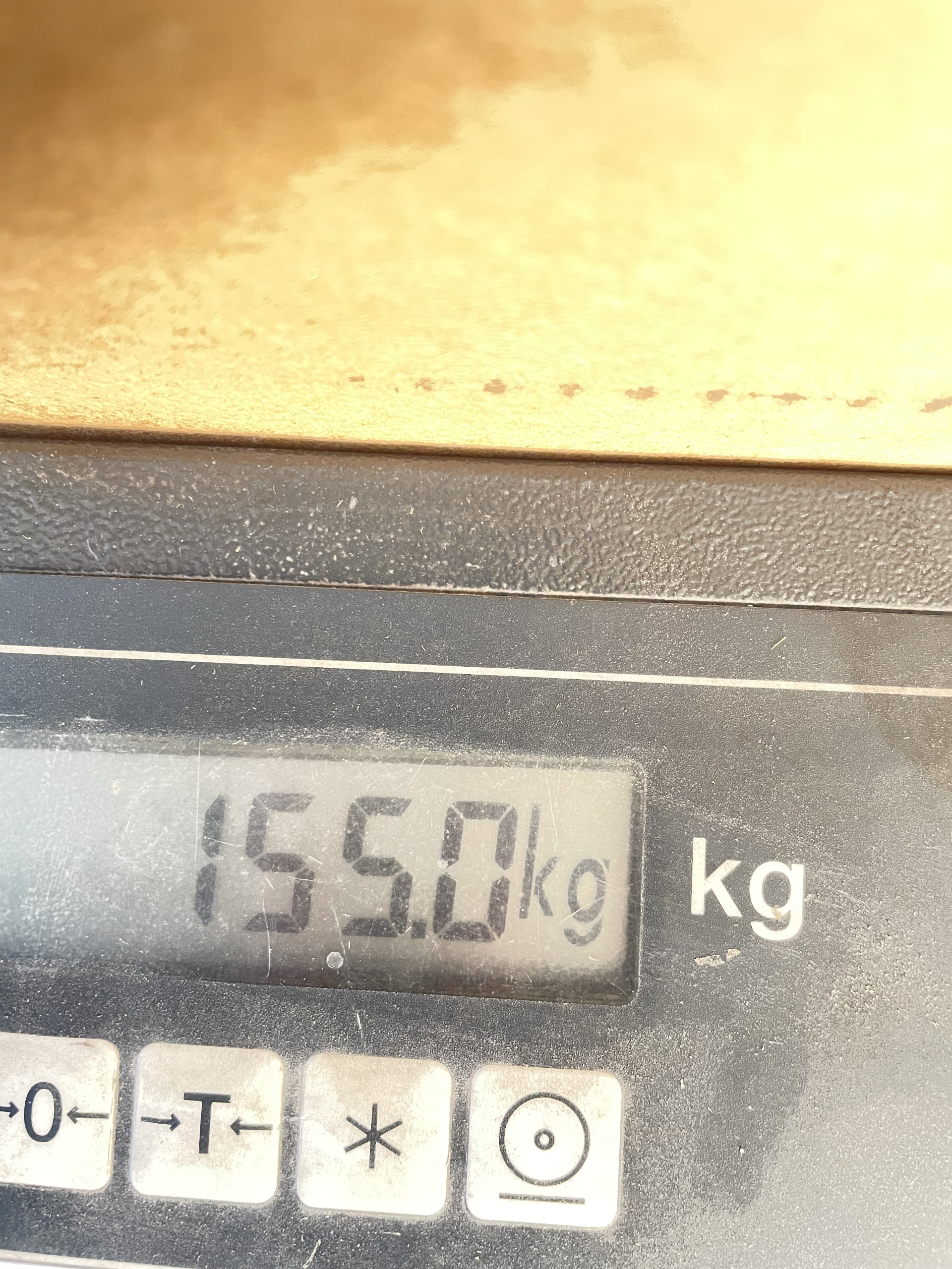 PALETA MIX 170cm wysoka LICYTACJA AMD17 - obrazek 5