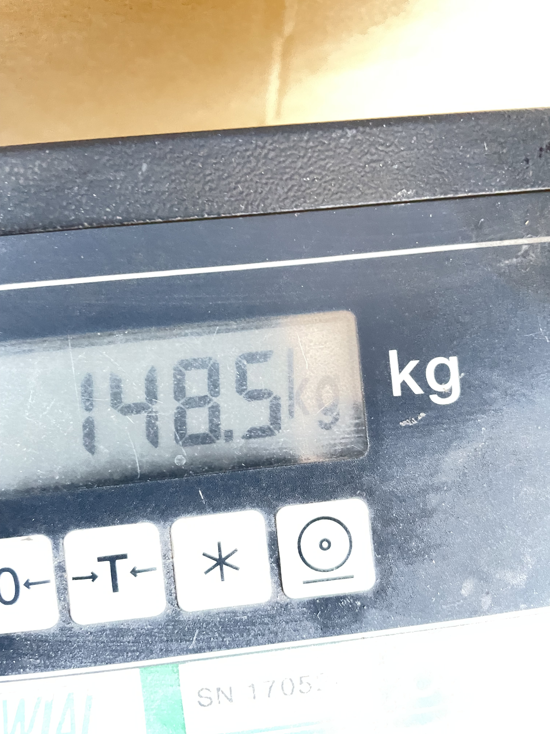 PALETA MIX 170cm wysoka LICYTACJA AMD52 - obrazek 5