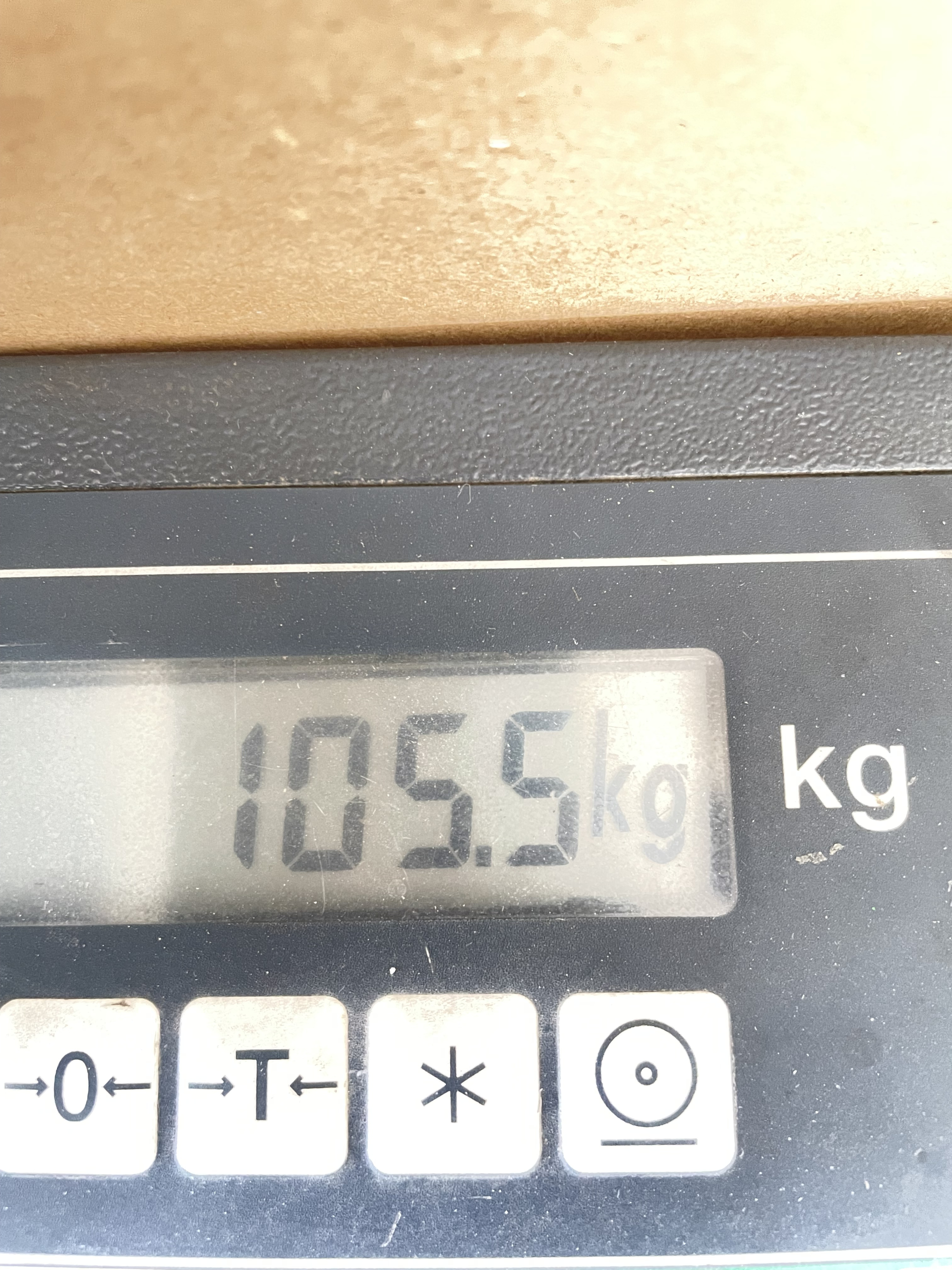 Paleta MIX Zdjęcia LICYTACJA KM9 - obrazek 5