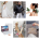 BOX SHEIN Sugerowana Cena detaliczna 3086zł LICYTACJA  CPPO2604150010137